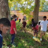 students planting natives at Shawmut Hills sycamore circle mural site springtime